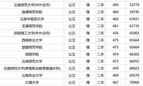 云南二本公办大学排名和分数线,云南二本公办大学排名及分数线