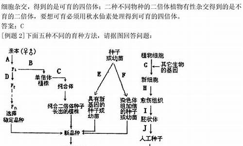 生物遗传遗传高考真题,高考生物遗传题答题模板