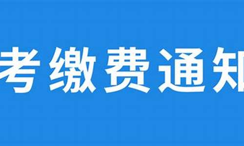 新高考报名缴费_新高考报名缴费怎么交