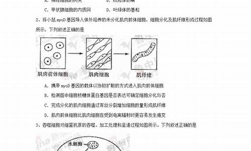 2018山东高考理综,山东高考理综