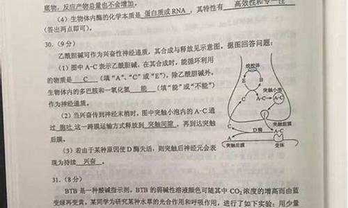 陕西高考试卷分析,陕西省高考各题得分