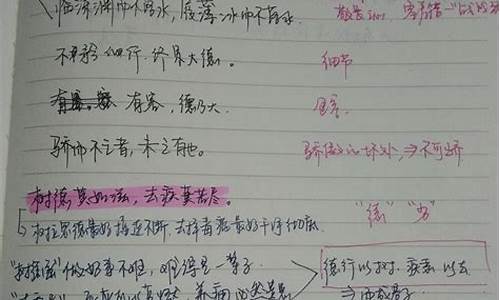 怎样考好高考语文_语文高考方法