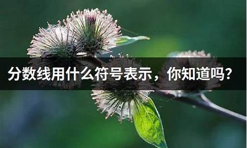 分数线用什么表示_分数线如何表示