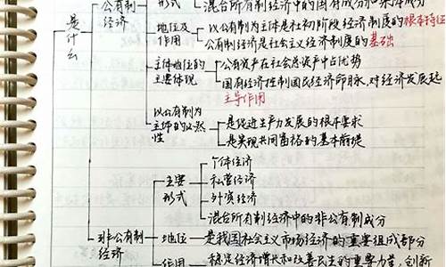 政治高考笔记-高考政治笔记学霸手写